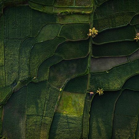 Anantara Ubud Bali Resort Payangan Bagian luar foto