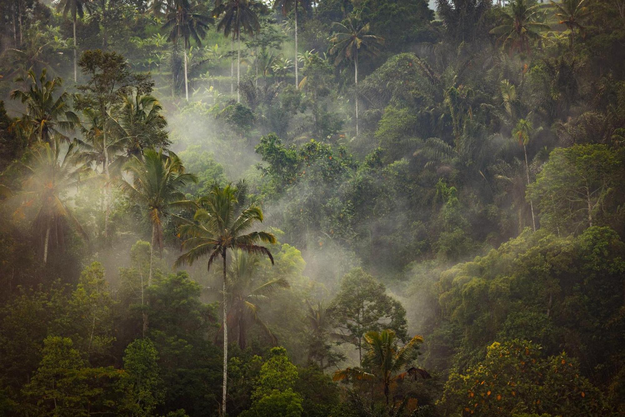 Anantara Ubud Bali Resort Payangan Bagian luar foto